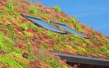 Kirby Wiske living roof systems
