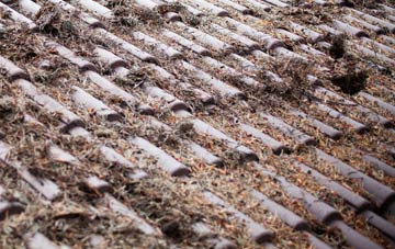 Kirby Wiske roof cleaning companies