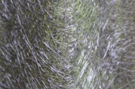 Kirby Wiske fibreglass roof work